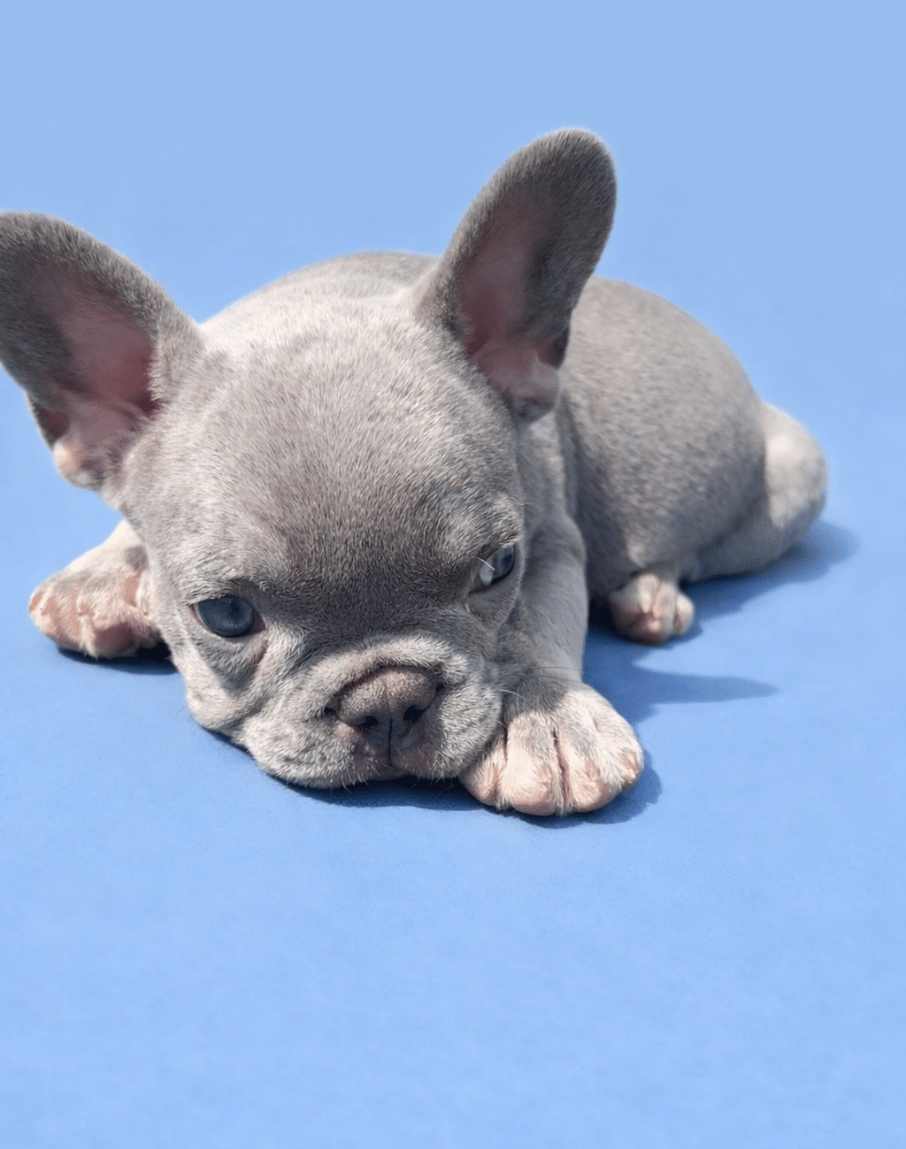 0F28C318 DCA0 432F 96F0 E859B939B4BF