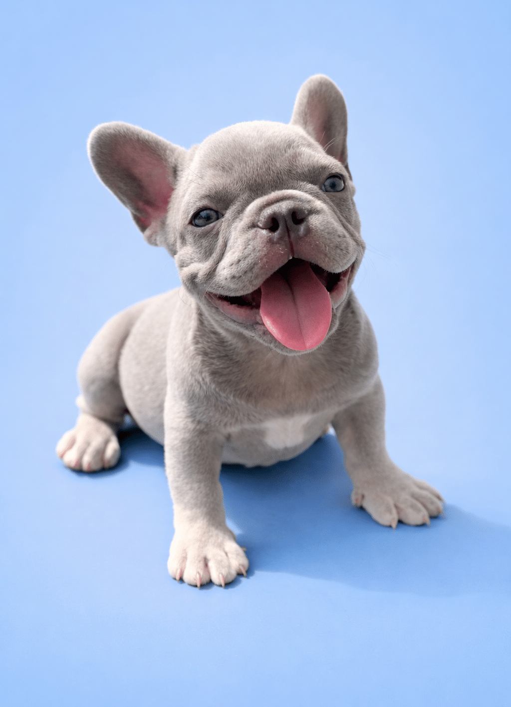 1D6345BC C696 40DD BFB5 872A118192F9