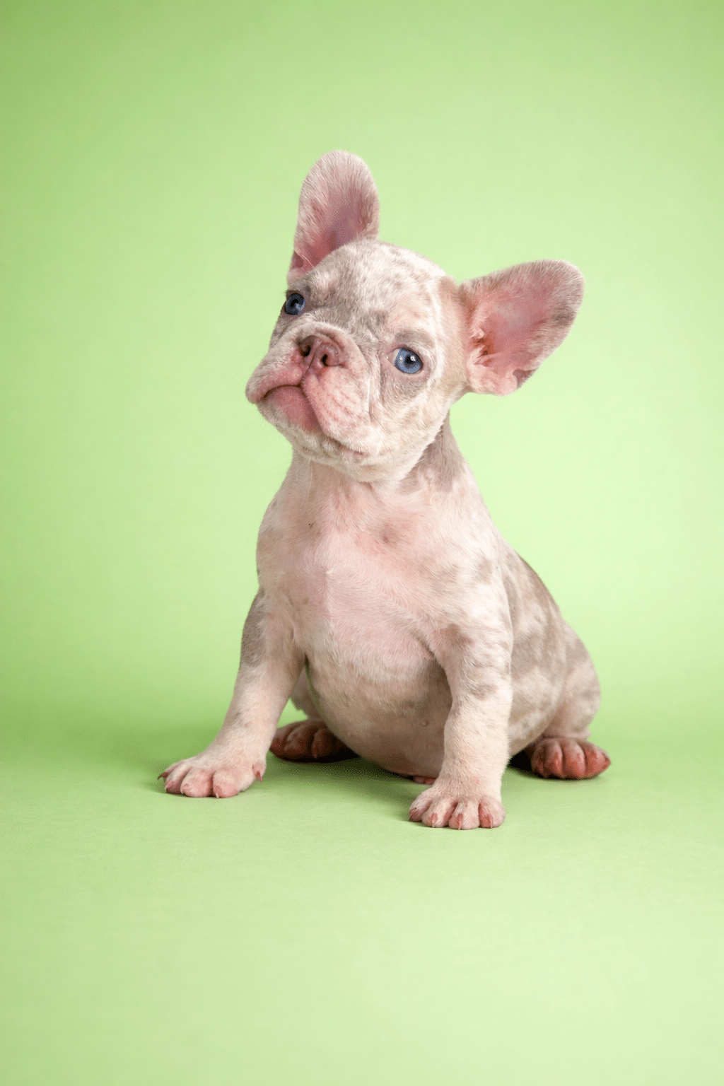 6E3BC8F0 AAC6 463E A647 D7871C05D9ED