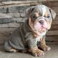 unnamed (2)